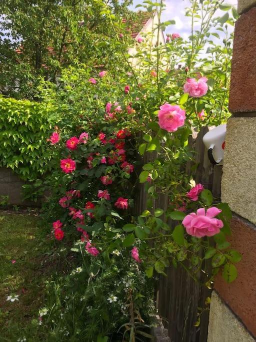 Ferienhaus Mit Garten In Thermennaehe Strebersdorf Εξωτερικό φωτογραφία